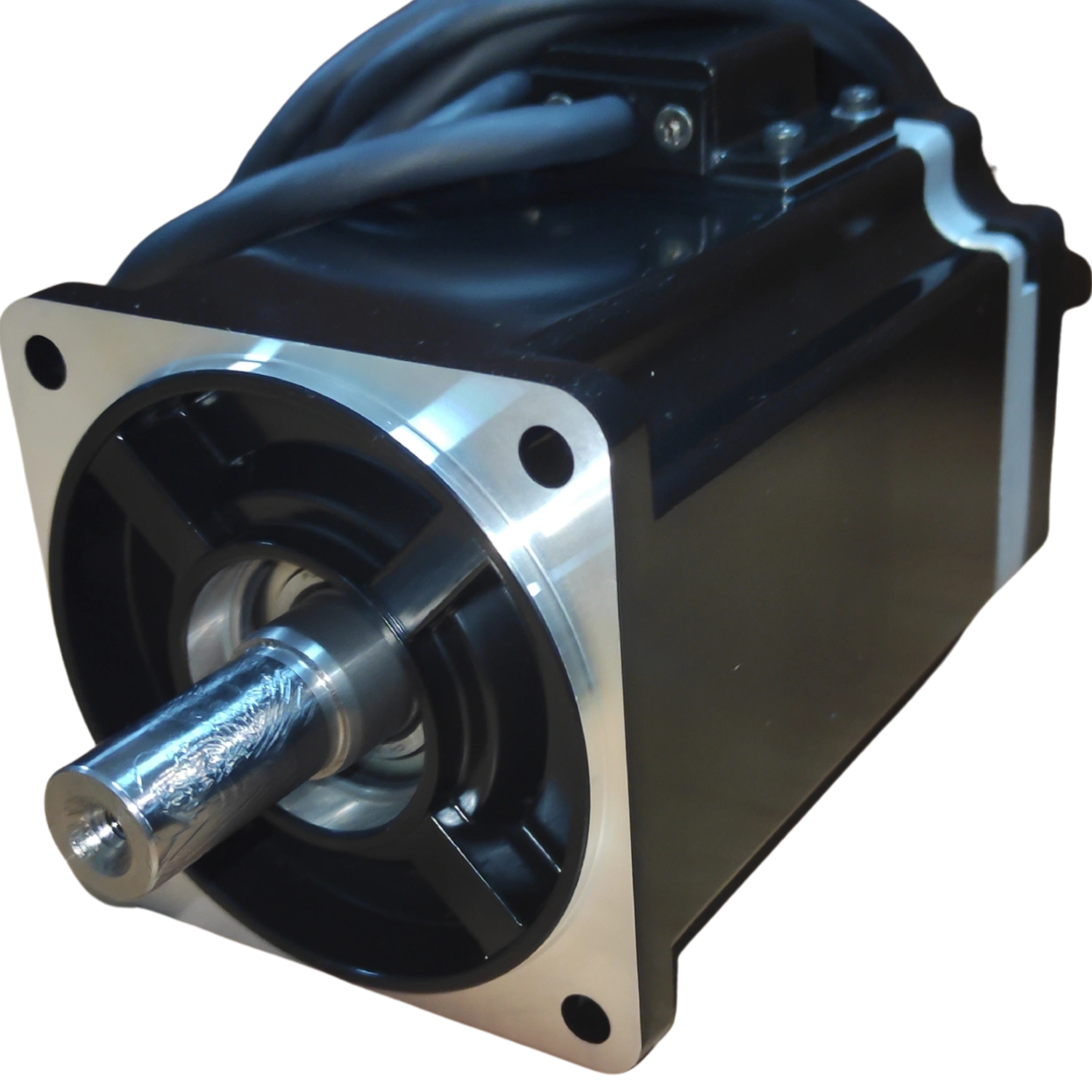 1KW Frensiz Servo Motor